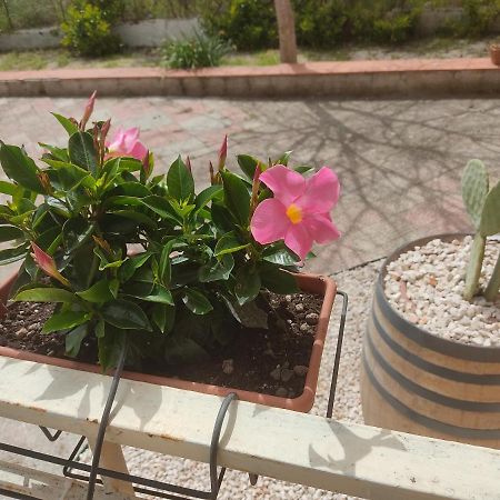 B&B Lara Santola Corato Bagian luar foto